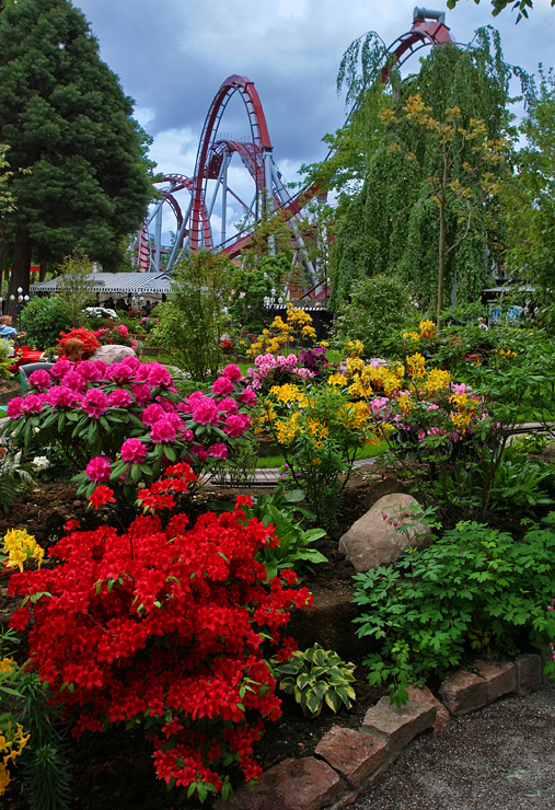 Blomster i Tivoli
