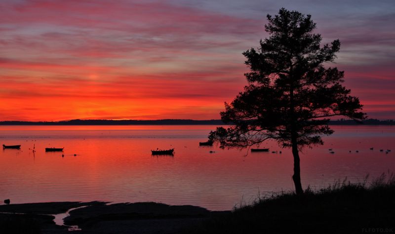 Solnedgang over Roskilde Fjord
Set fra FrederiksvÃ¦rk / Kregme
Keywords: solnedgang