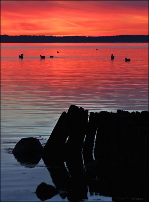 Solnedgang over Roskilde Fjord
Set fra FrederiksvÃ¦rk / Kregme
Keywords: solnedgang