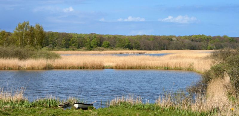 Ved Arresø udenfor Kregme
Keywords: Arresø landskab