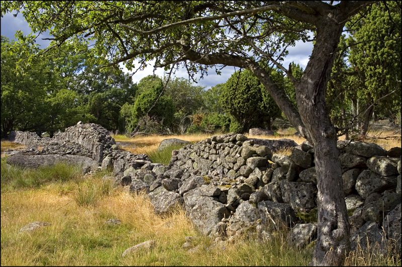 Stengærde i Eriksberg, Sverige
Keywords: Stengærde Eriksberg Sverige