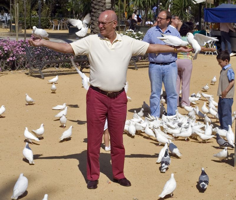 Duemand i Parque de Maria Luisa
Pigeon man in Parque de Maria Luisa
