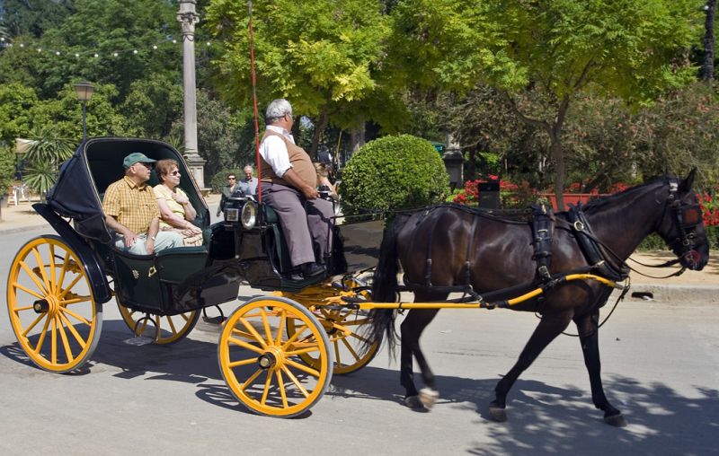 Hestevogn i Parque de Maria Luisa
Carriage in Parque de Maria Luisa
