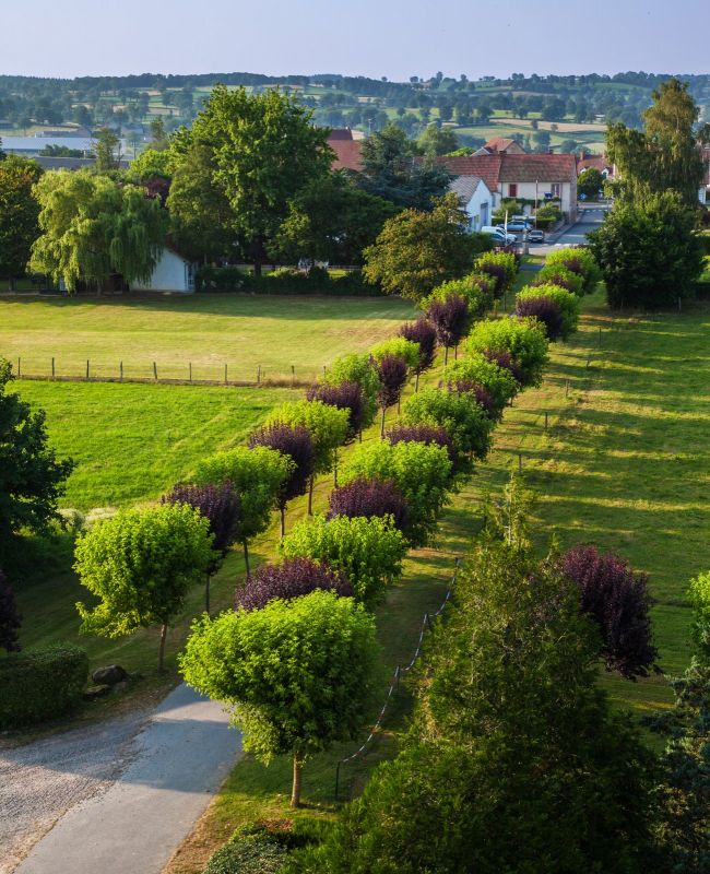 View from the tower at Chateau du Ludaix
