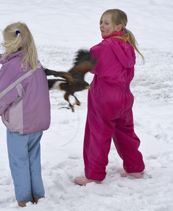 Rovfugl flyver præcist mellem to børn
Keywords: Rovfugl børn