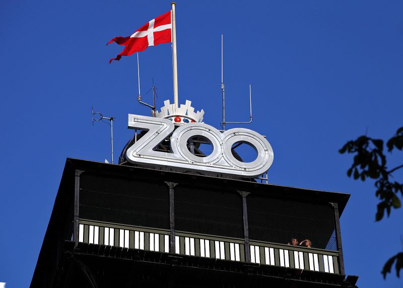 Toppen af Zoo tårnet
Keywords: Zootårn