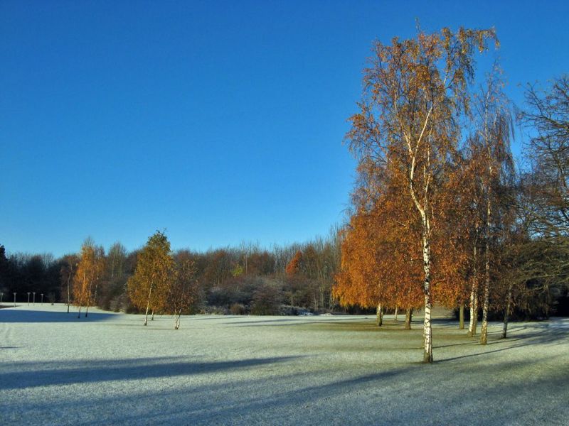 Ejby i November
Keywords: efterår vinter